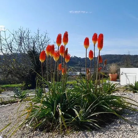 Bb Silvercoast Casa Flores Bed & Breakfast *