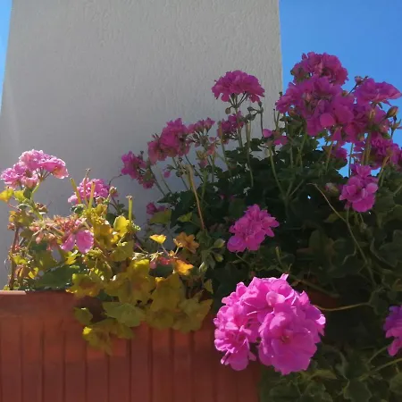 Bb Silvercoast Casa Flores *