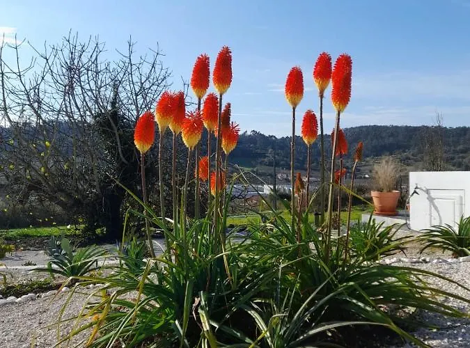 Bb Silvercoast Casa Flores Alojamento de Acomodação e Pequeno-almoço 4*