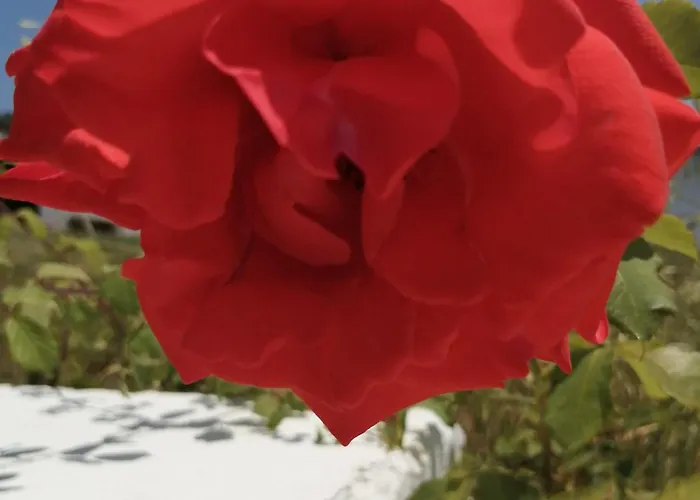 Bb Silvercoast Casa Flores Santa Catarina (Leiria)